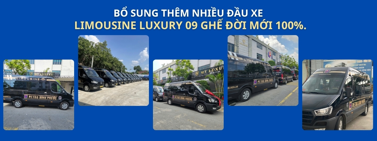Tăng cường dòng xe Limousine Luxury 9C